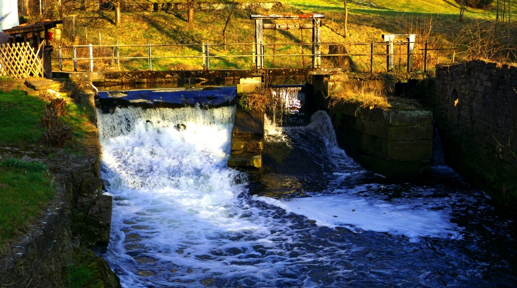 The Wild End Of The Weir