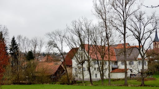 Mühle Eble an der Würm in Mühlhausen