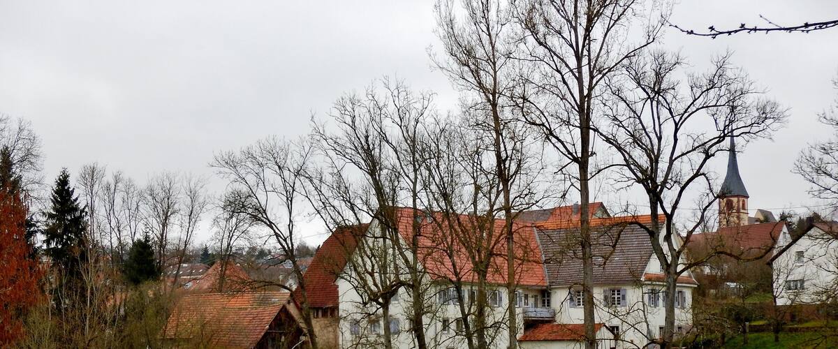 A traditional European village with a prominent church and residential buildings.