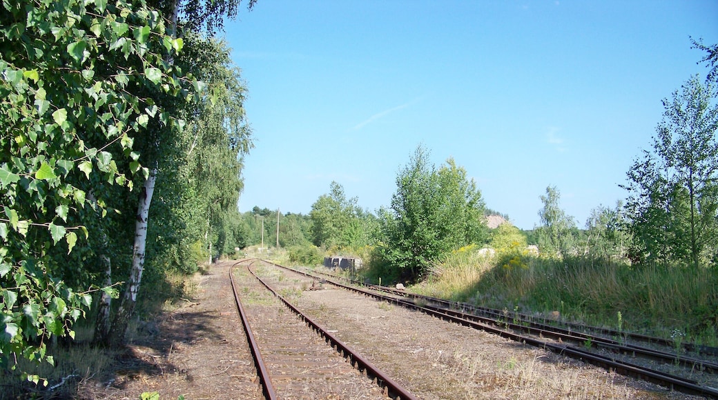 Anlagen der Anschlussbahn der Sächsischen Quarzporphyrwerke - Werk Frauenberg.