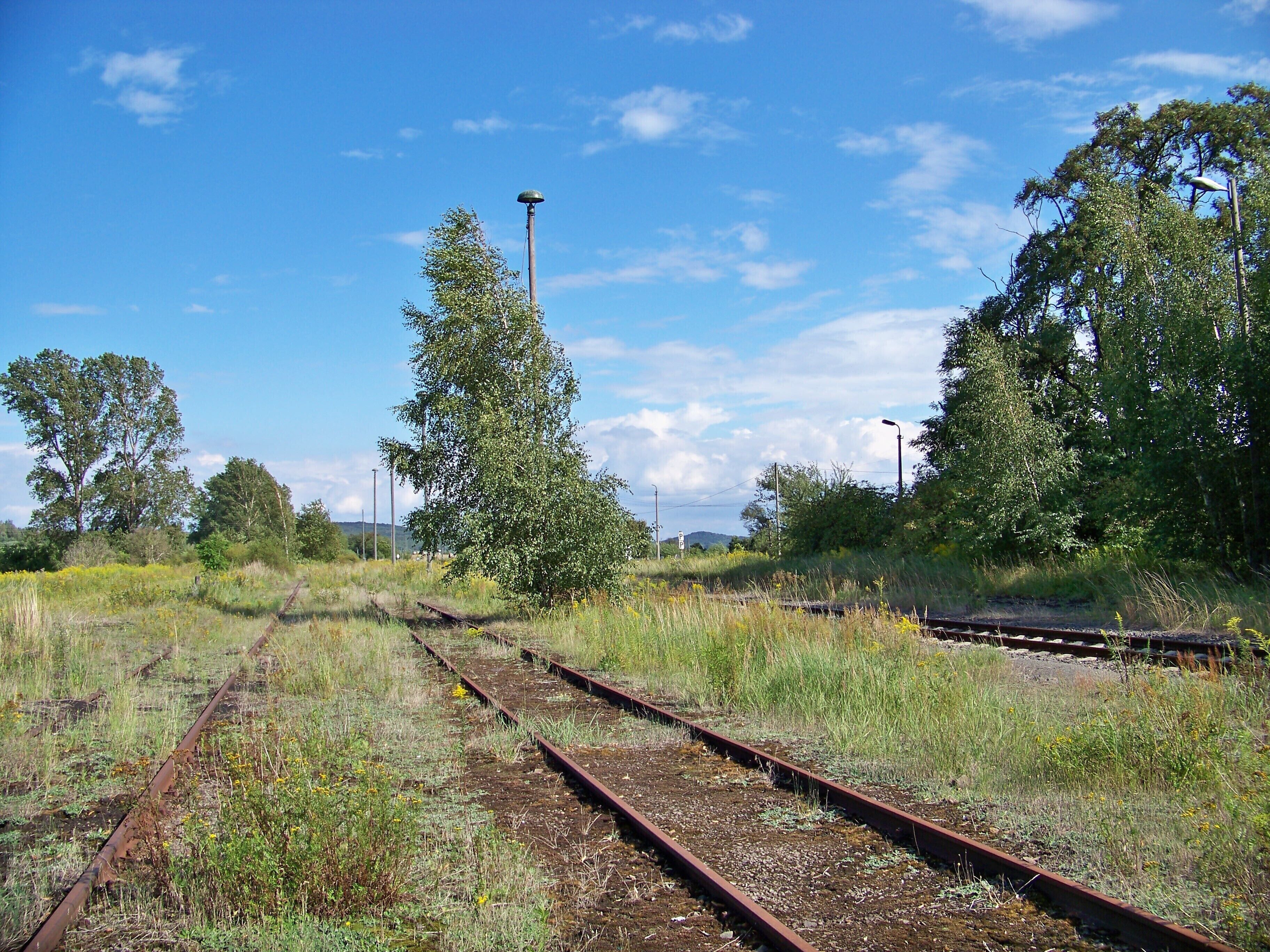 Alte Gleise des Bahnhofes Collmen-Böhlitz an der Strecke Eilenburg–Wurzen, rechts das noch befahrene Streckengleis.