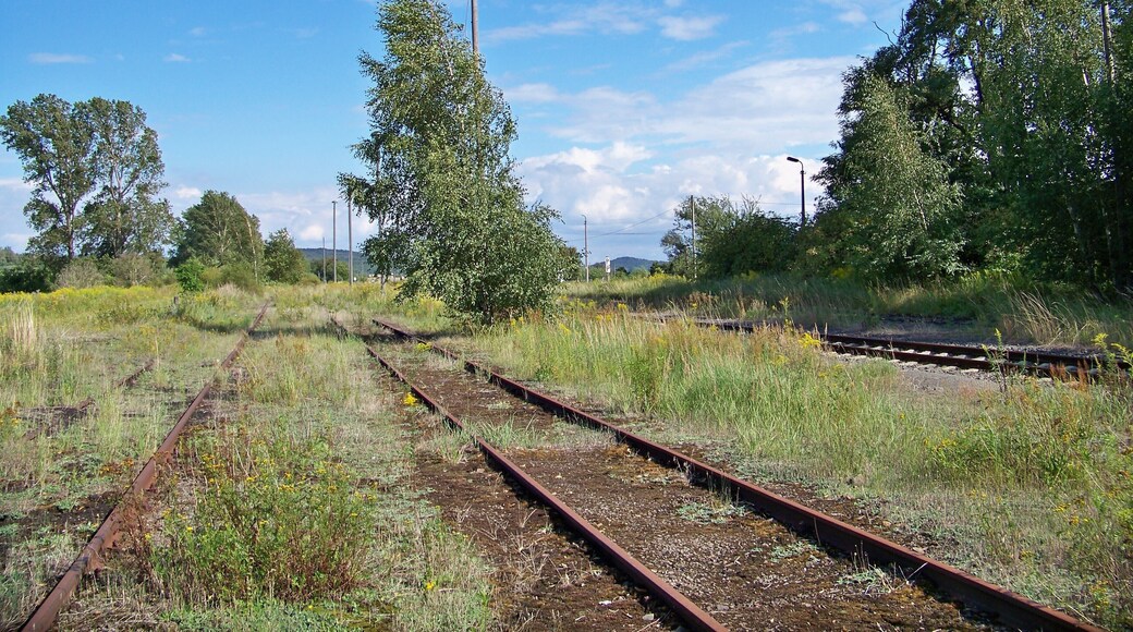 Alte Gleise des Bahnhofes Collmen-Böhlitz an der Strecke Eilenburg–Wurzen, rechts das noch befahrene Streckengleis.