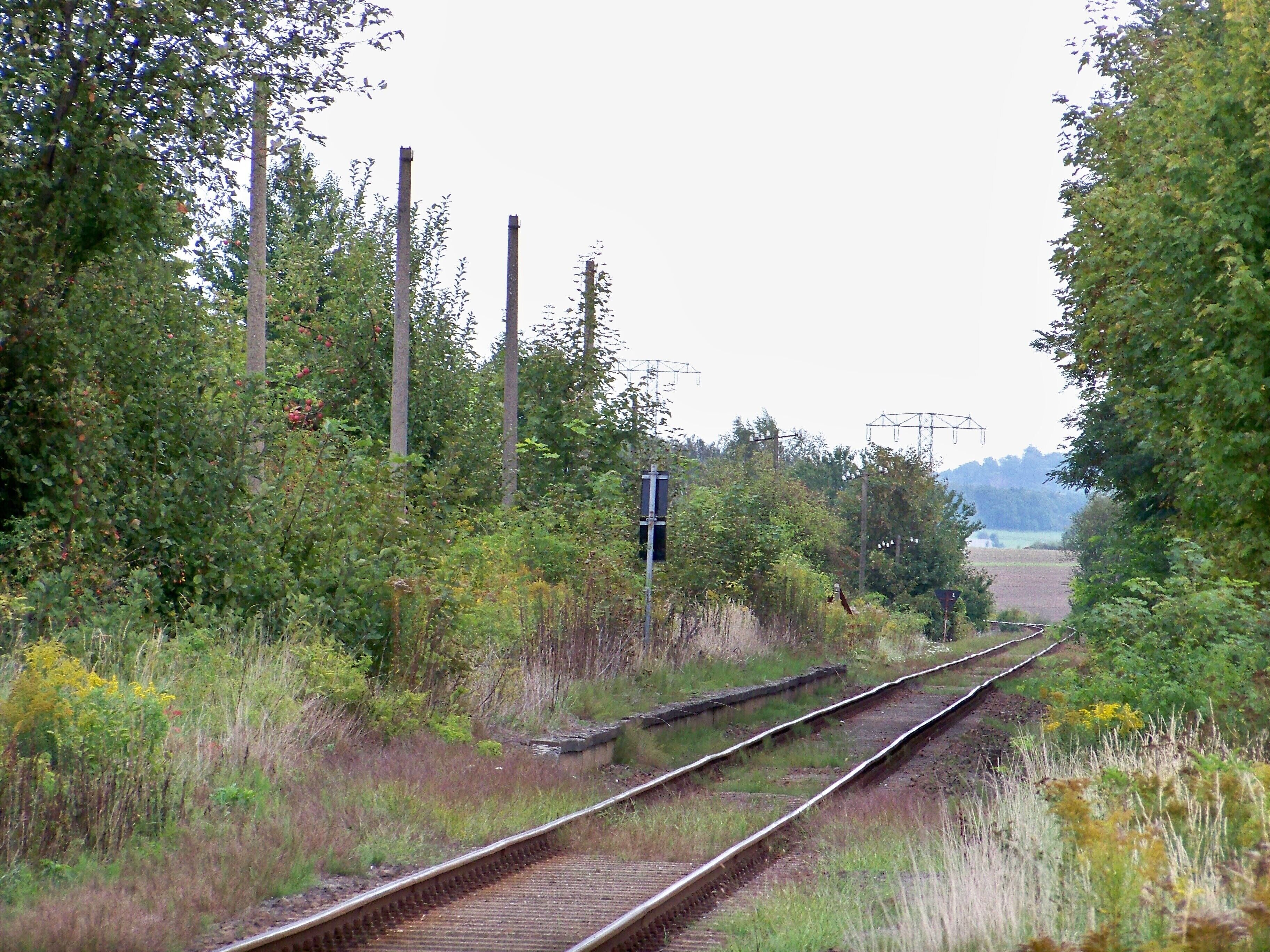 Blick auf den Bahnsteig des ehemaligen Haltepunktes Thallwitz (bis 1968 Bahnhof) an der Strecke Eilenburg-Wurzen (Personenverkehr 1978 eingestellt)
