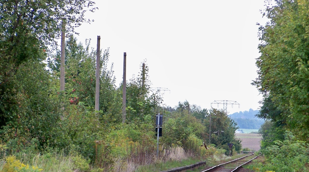 Blick auf den Bahnsteig des ehemaligen Haltepunktes Thallwitz (bis 1968 Bahnhof) an der Strecke Eilenburg-Wurzen (Personenverkehr 1978 eingestellt)
