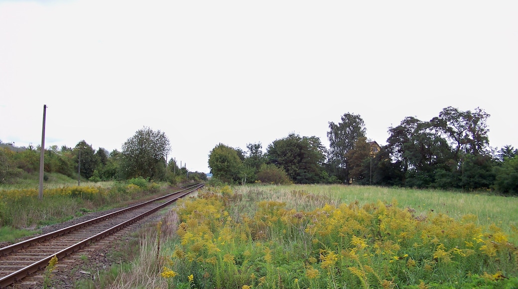 Blick auf den Bahnsteig des ehemaligen Haltepunktes Thallwitz (bis 1968 Bahnhof) an der Strecke Eilenburg-Wurzen (Personenverkehr 1978 eingestellt)