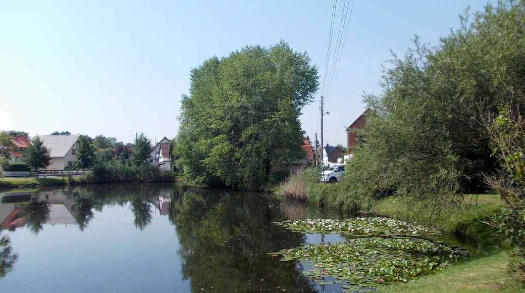 Pond in Beuchlitz (Teutschenthal, district: Saalekreis, Saxony-Anhalt)