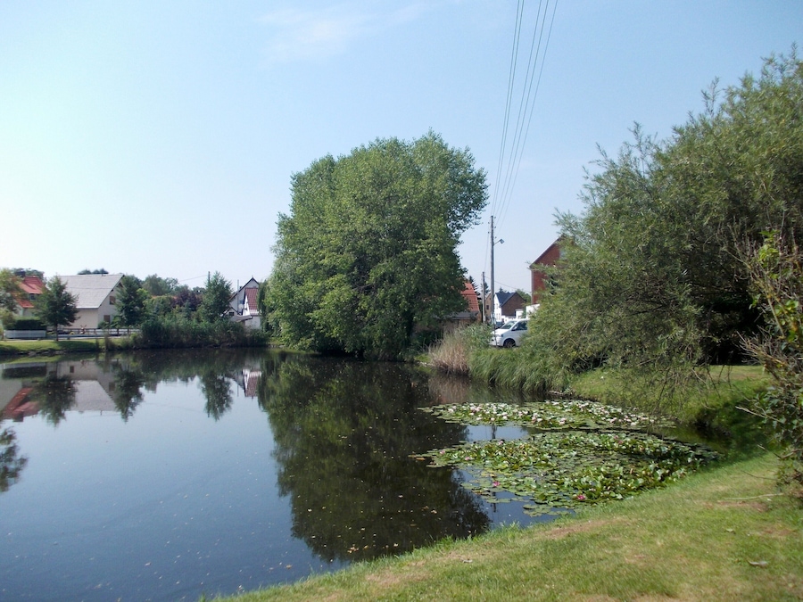 A calm river with lily pads, surrounded by trees and houses.