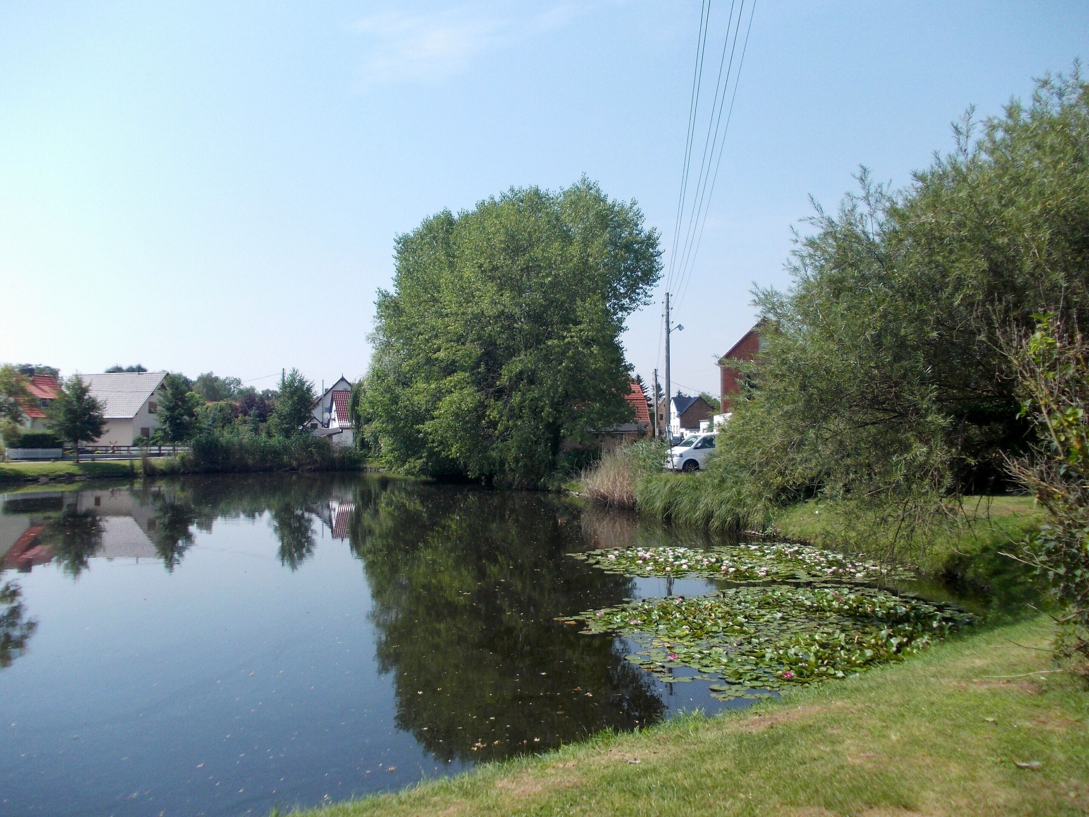 A calm river with lily pads, surrounded by trees and houses.