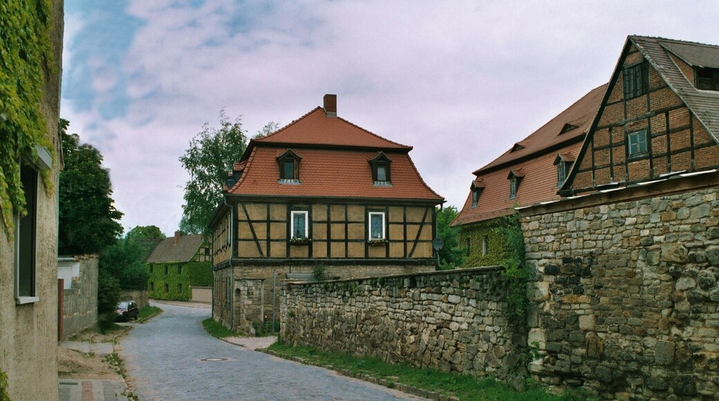 This is a picture of the Baudenkmal (cultural heritage monument) according to the Cultural Heritage Protection Law of Saxony-Anhalt with the ID
