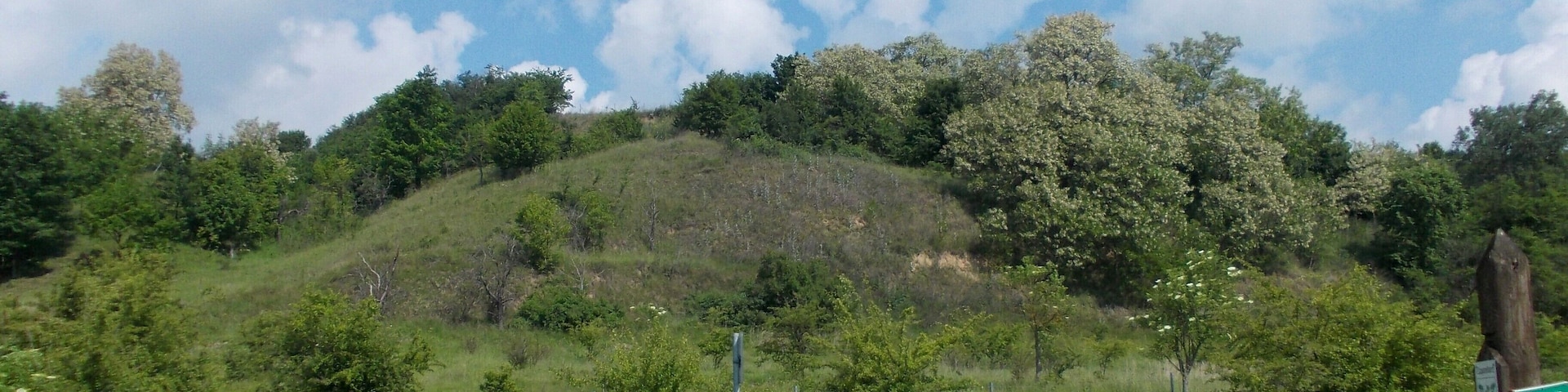 In the nature reserve "Salzatal zwischen Langenbogen und Köllme" (district: Saalekreis, Saxony-Anhalt) near Zappendorf