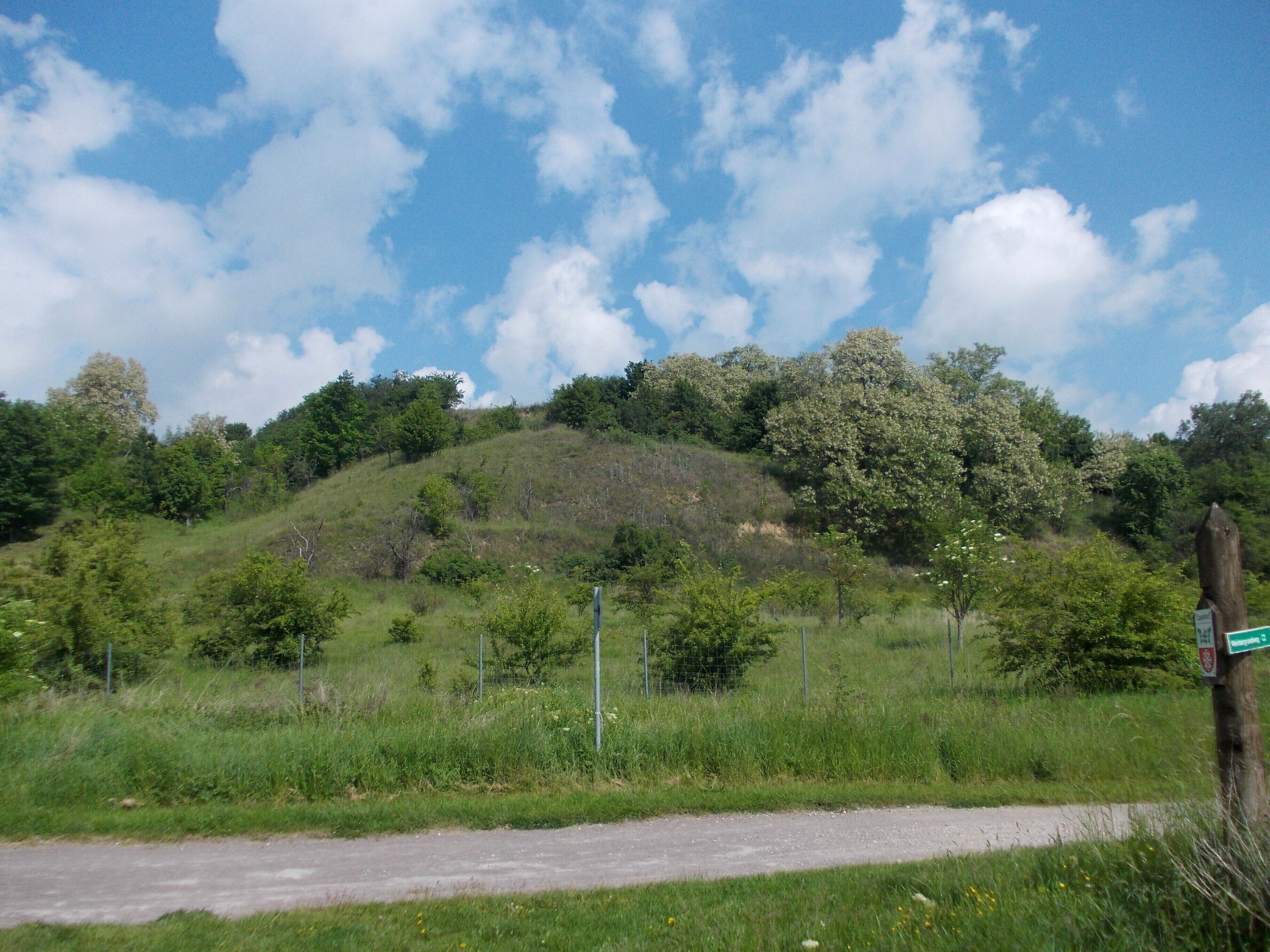 A road winding through a hilly landscape with lush greenery and trees.