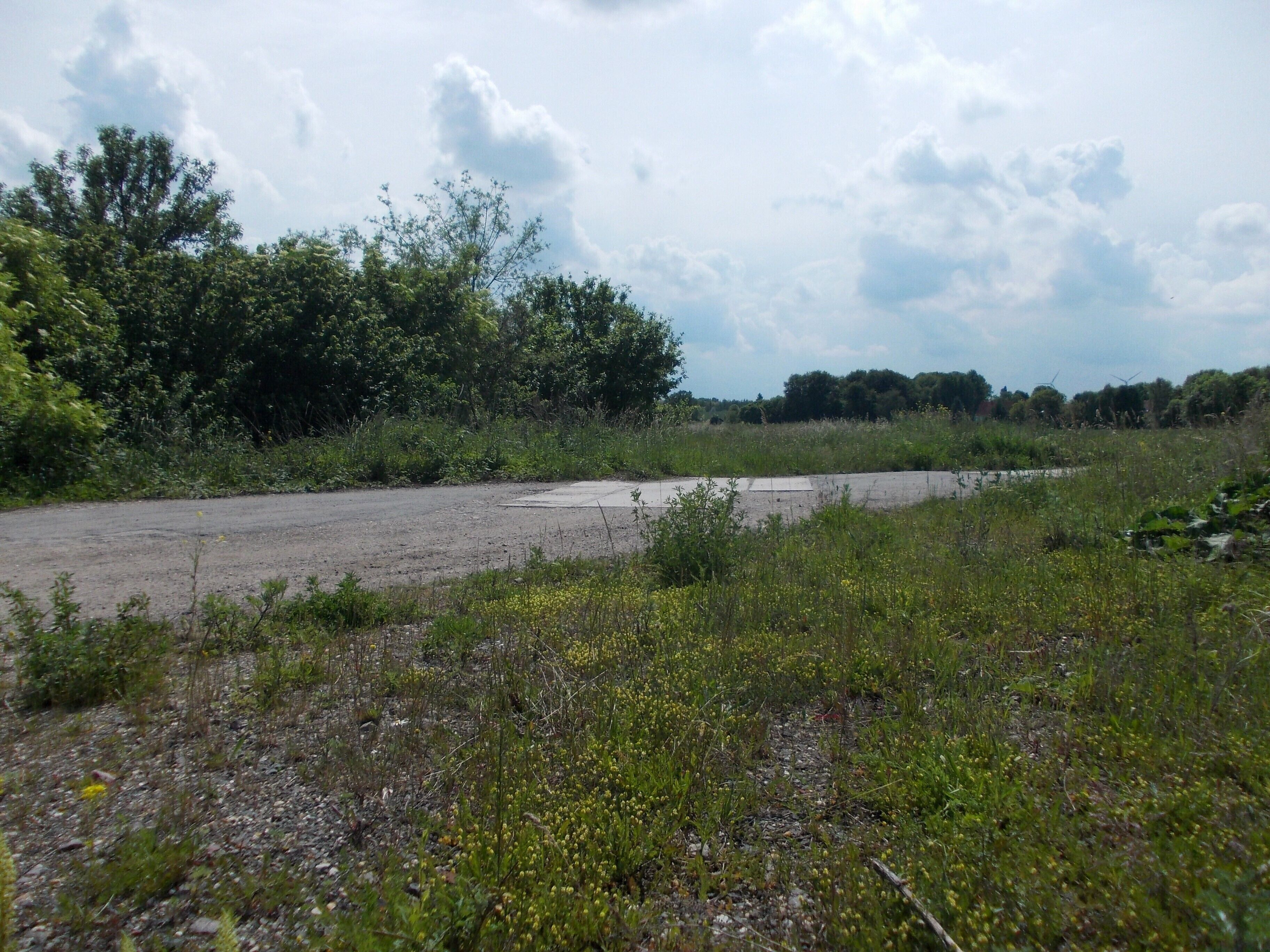Remains of the Salzmünde-Teutschenthal railway line near Köchstedt (Teutschenthal, district: Saalekreis, Saxony-Anhalt)