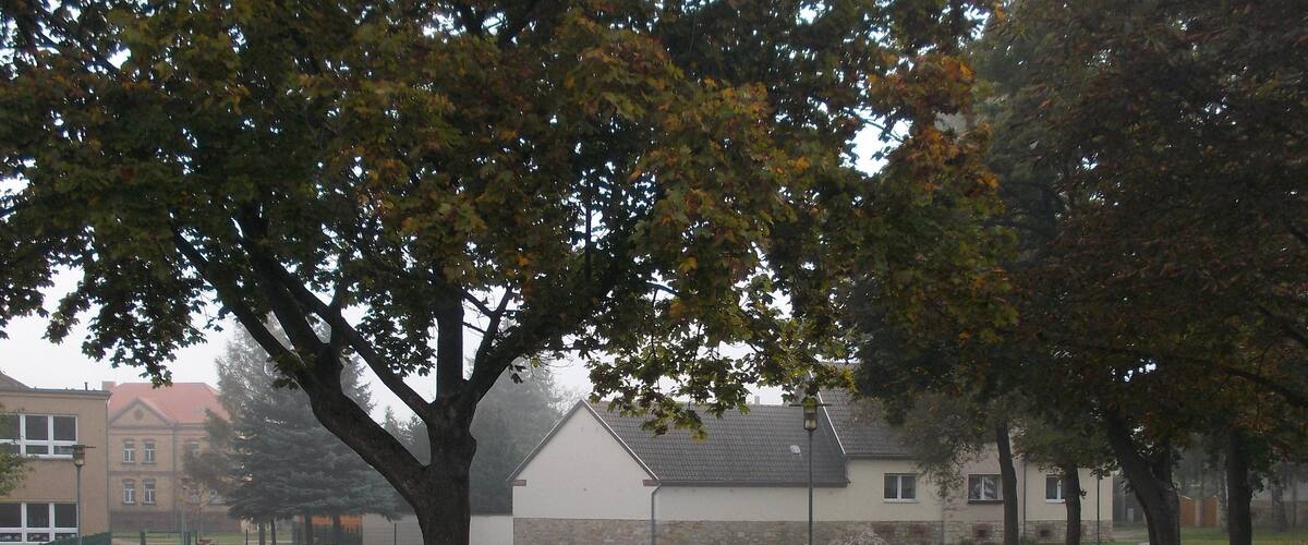 A park with a large rock, trees, and a building in the background.