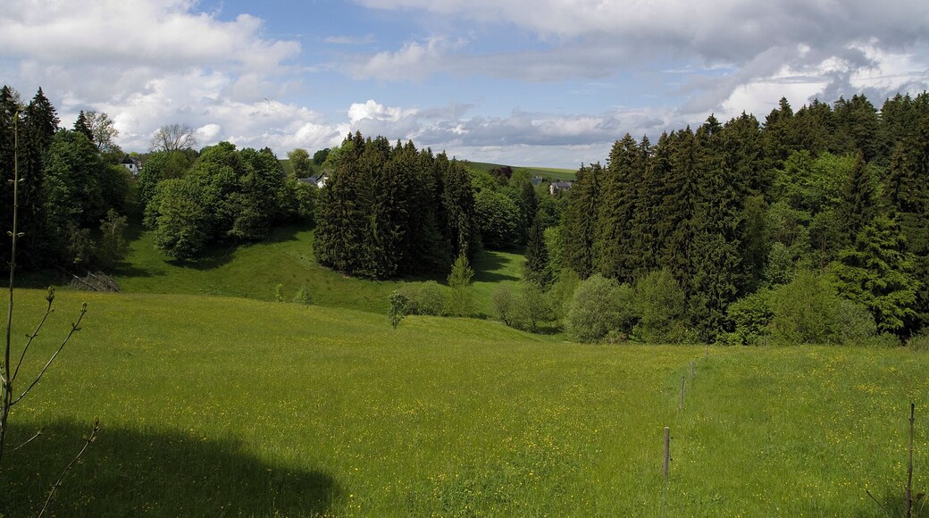 Blick auf die "Reit" in Stützengrün 30-05-2010