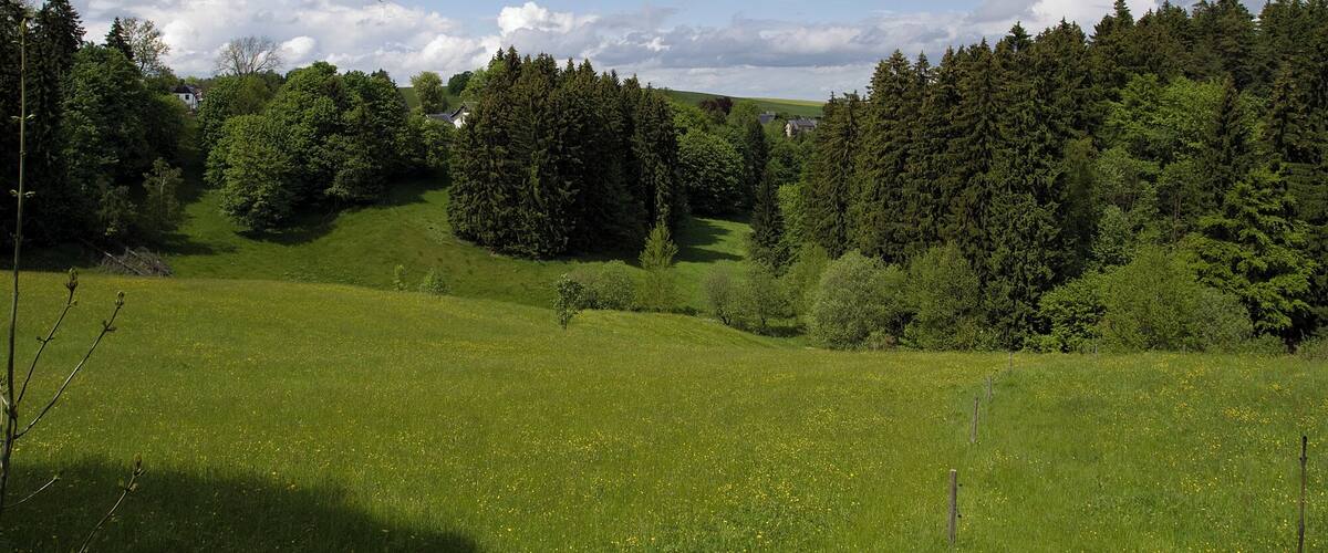 Blick auf die "Reit" in Stützengrün 30-05-2010