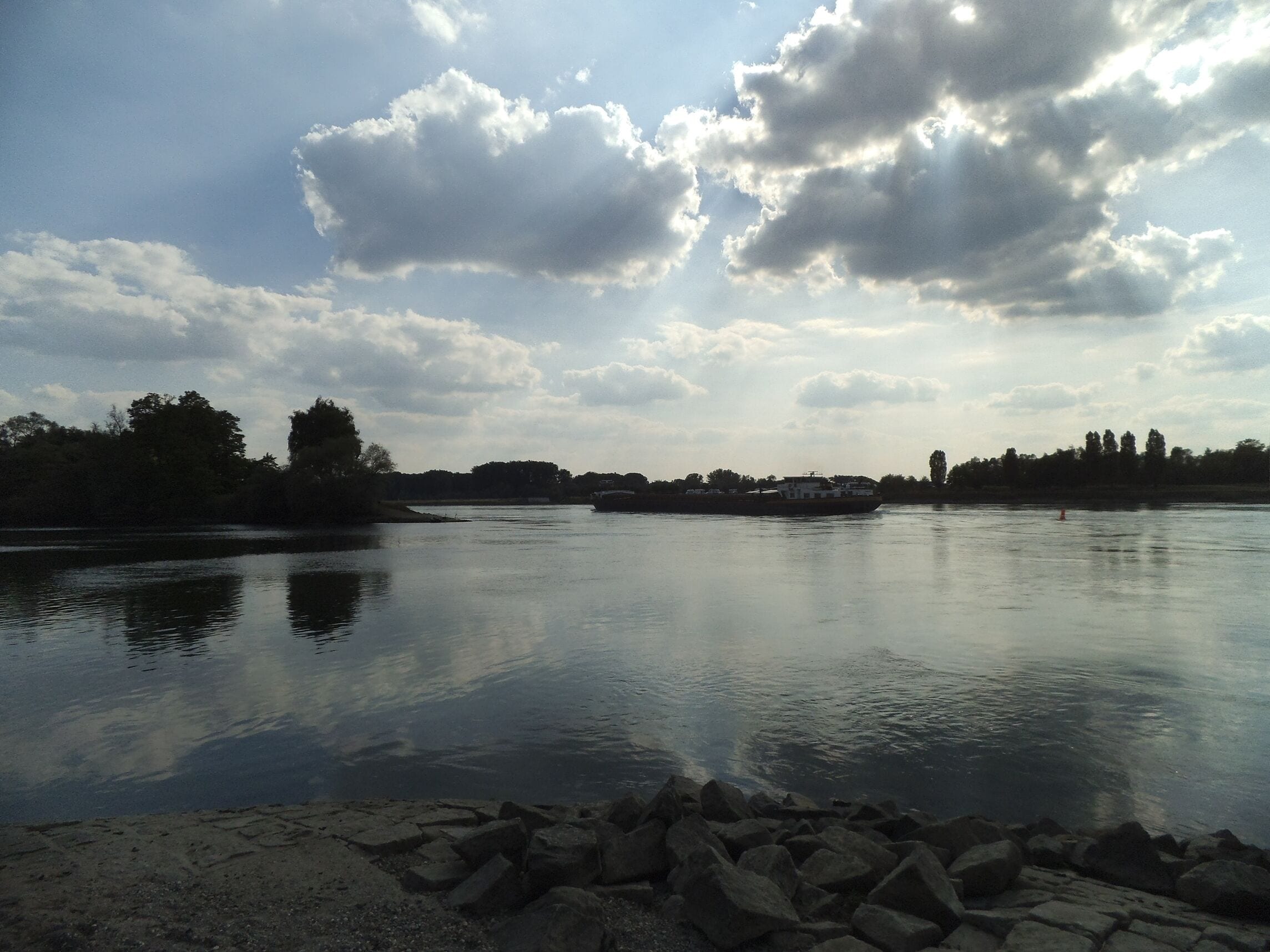 Murgmündung in den Rhein