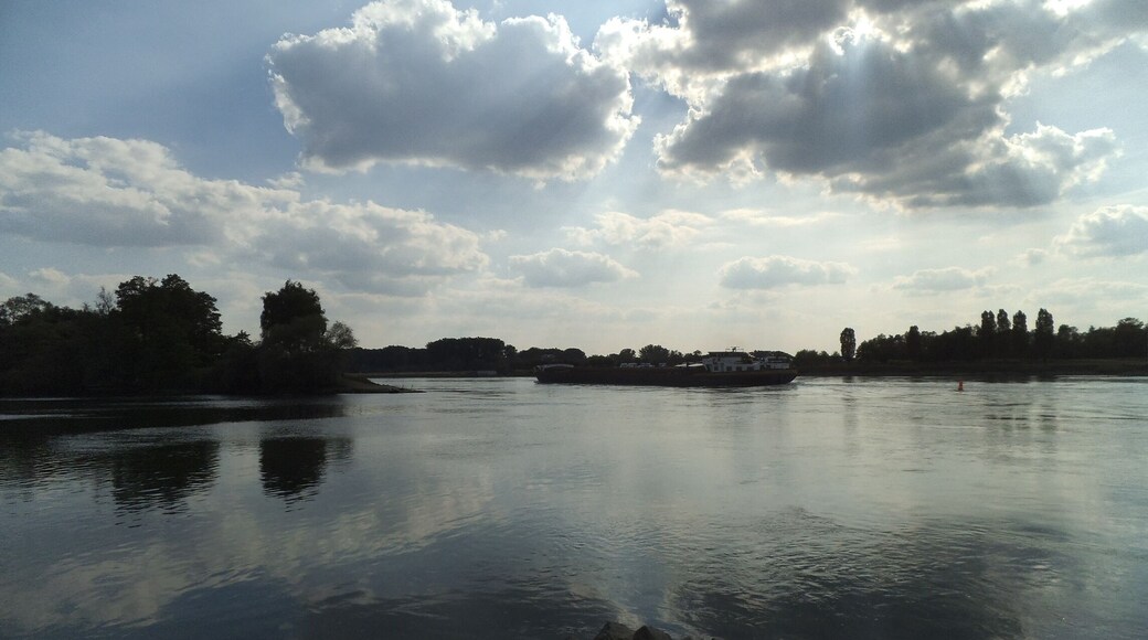 Murgmündung in den Rhein