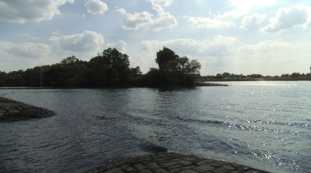 Murgmündung in den Rhein