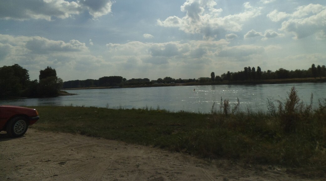 Rhein bei der Murgmündung