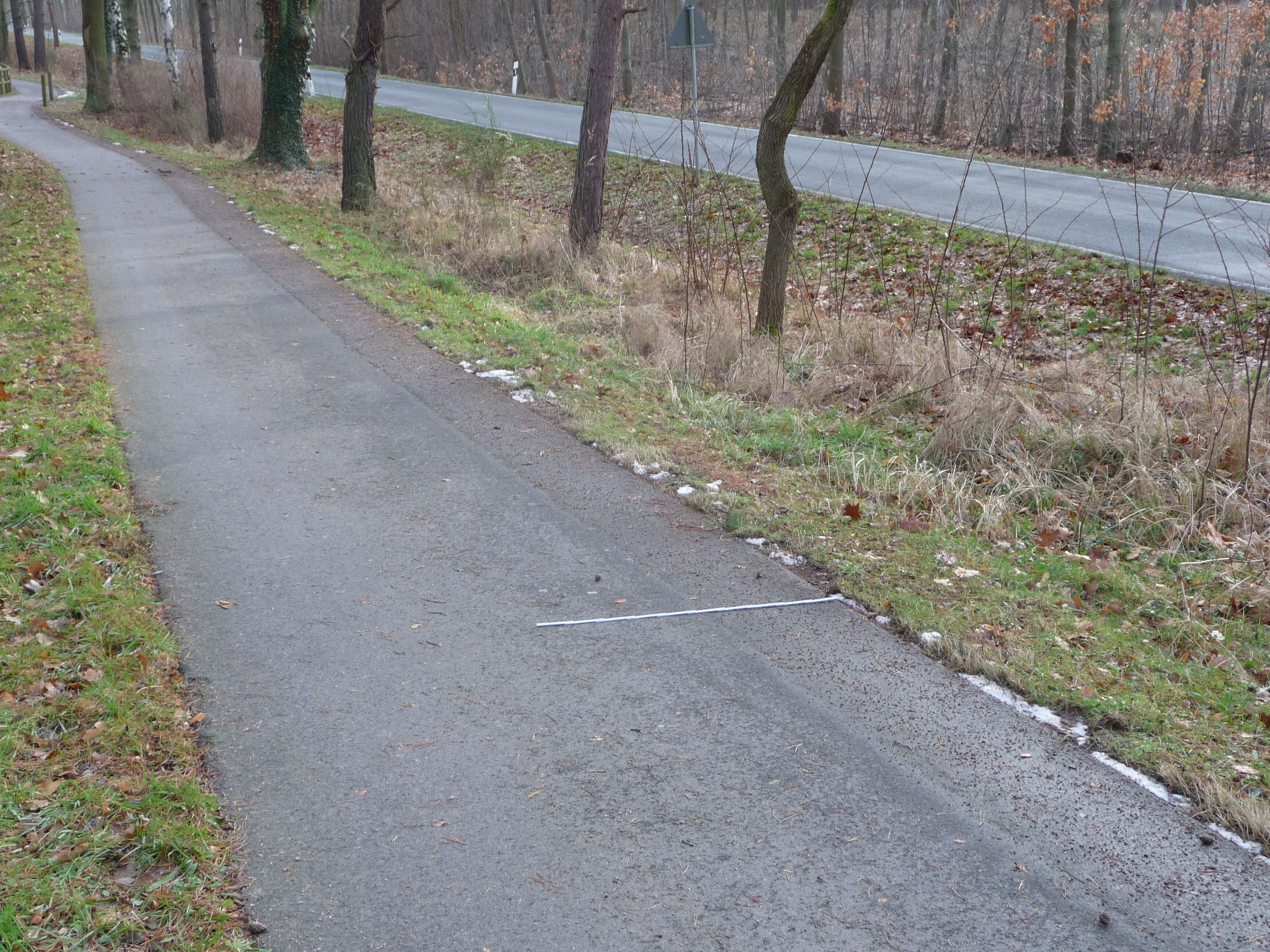 Straße von Schenkenhorst nach Güterfelde mit Radweg