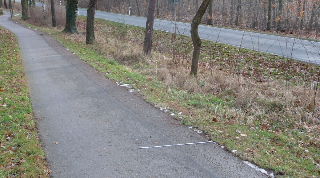 Straße von Schenkenhorst nach Güterfelde mit Radweg