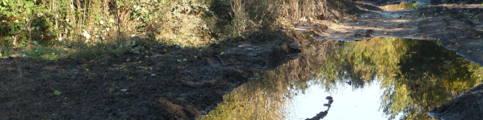 Schenkendorfer Weg, südlich Kreuzung Grüner Weg