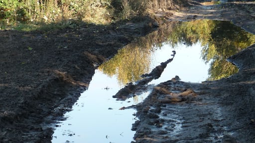Schenkendorfer Weg, südlich Kreuzung Grüner Weg