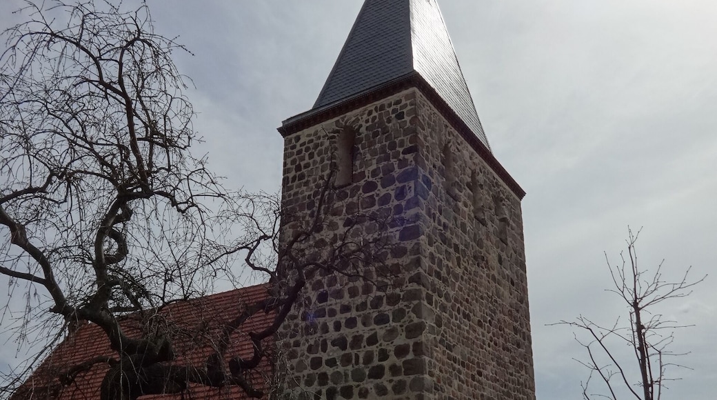 Die Dorfkirche Güterfelde ist eine Feldsteinkirche aus dem 13. Jahrhundert. Der zuvor eingezogene Chor wurde im Jahr 1867 von der Kirchengemeinde auf die Breite des Kirchenschiffs aufgemauert. Anfang des 21. Jahrhunderts wurde das Bauwerk saniert.