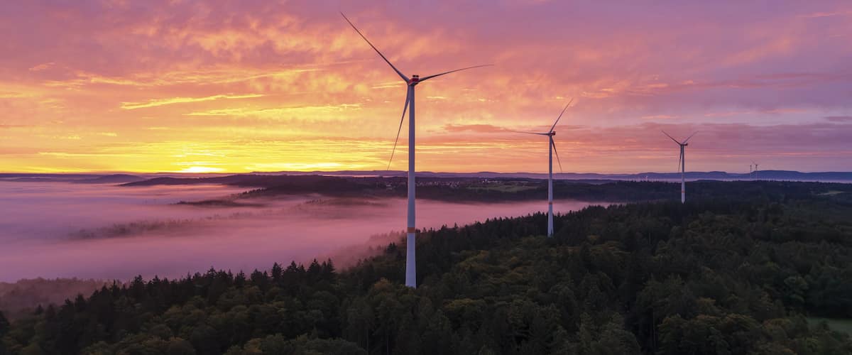 A sunset over a forest with wind turbines.