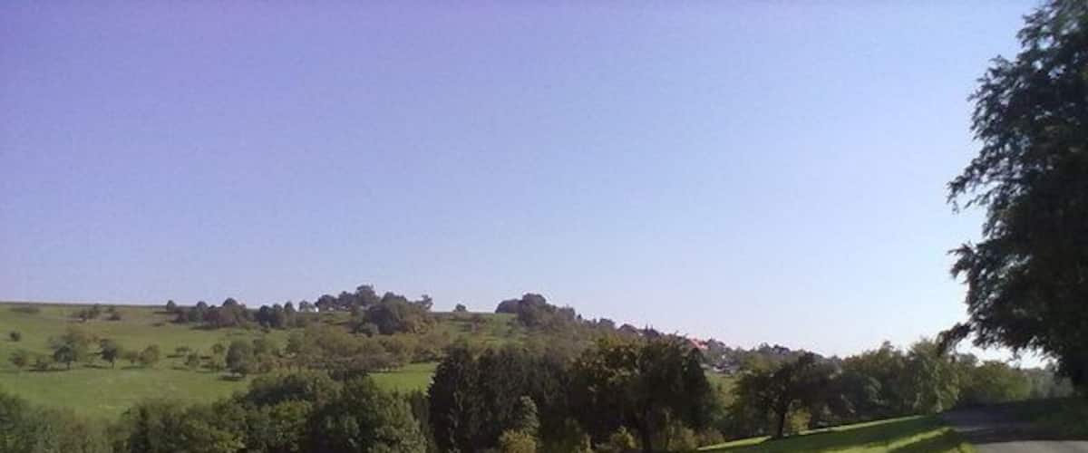 A grassy field with a road curving to the right.