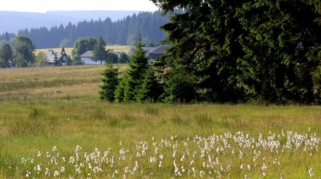 This is a picture of the protected area listed at WDPA under the ID