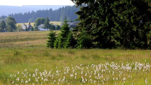 This is a picture of the protected area listed at WDPA under the ID