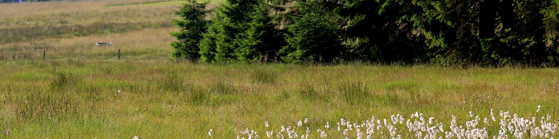 This is a picture of the protected area listed at WDPA under the ID