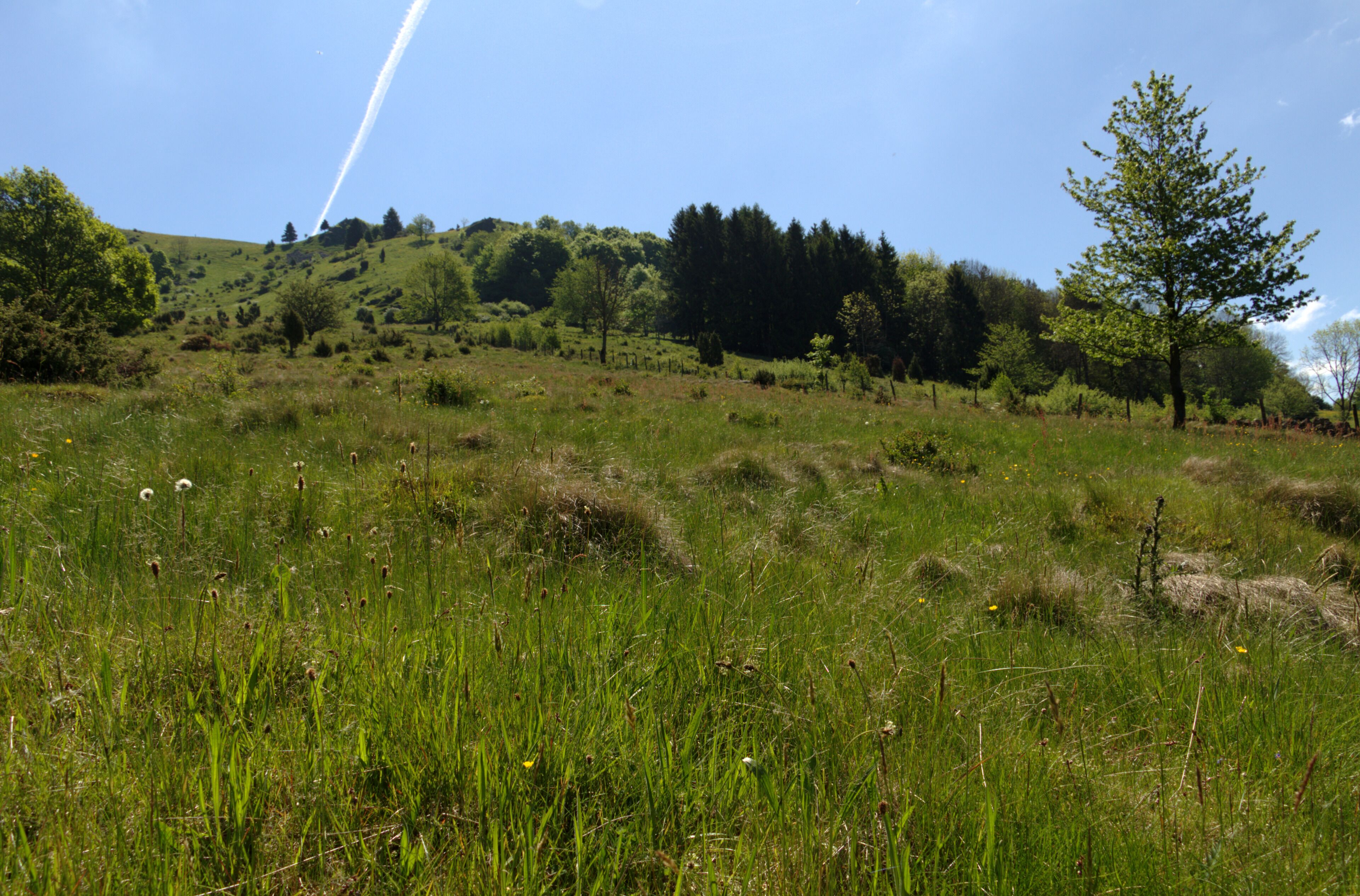 This is a picture of the protected area listed at WDPA under the ID