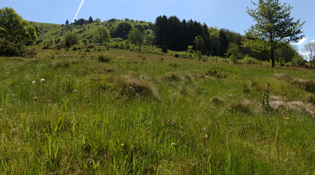 This is a picture of the protected area listed at WDPA under the ID