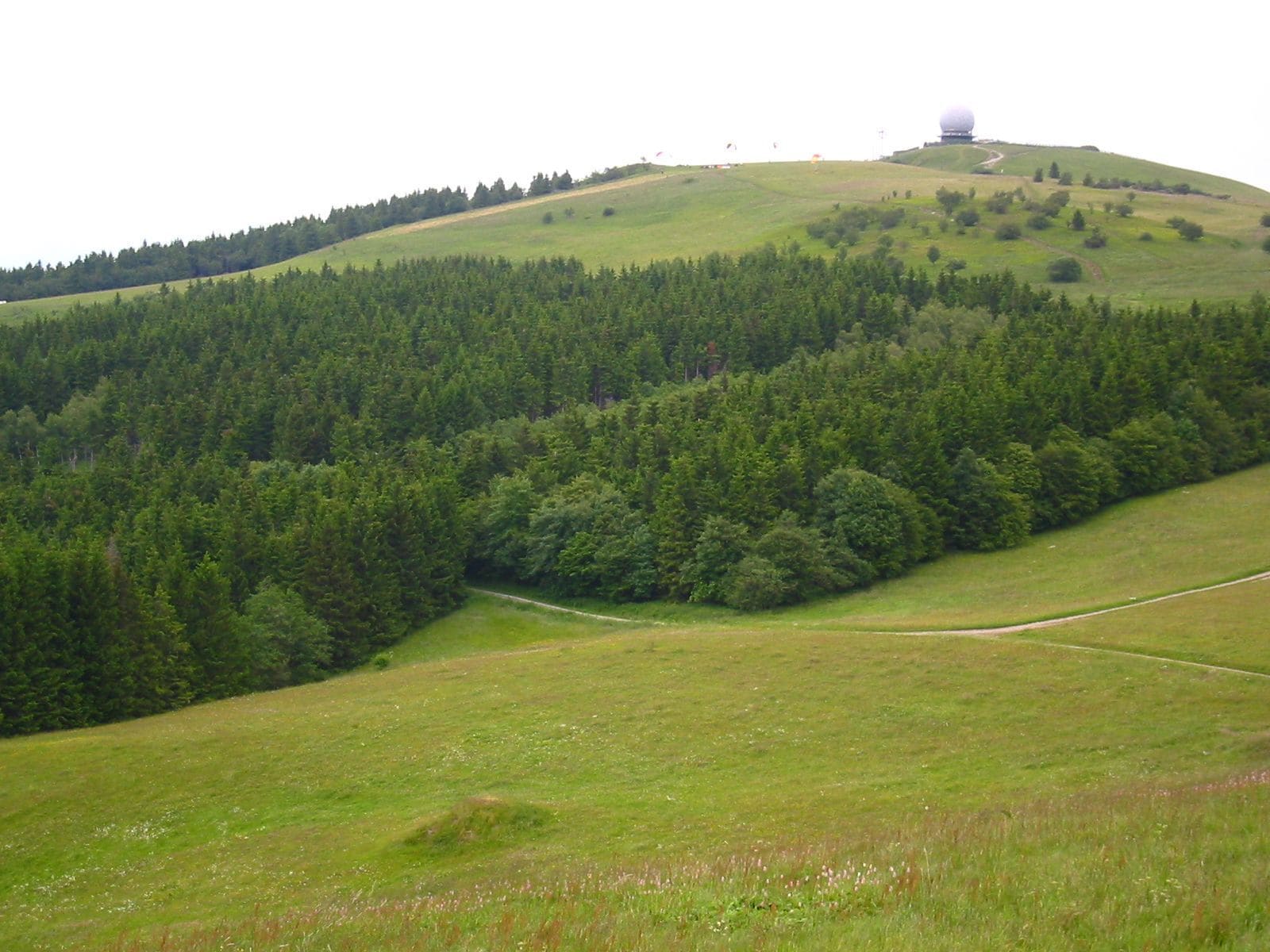 A lush green valley with a forested hill and a large dome-shaped structure on top.