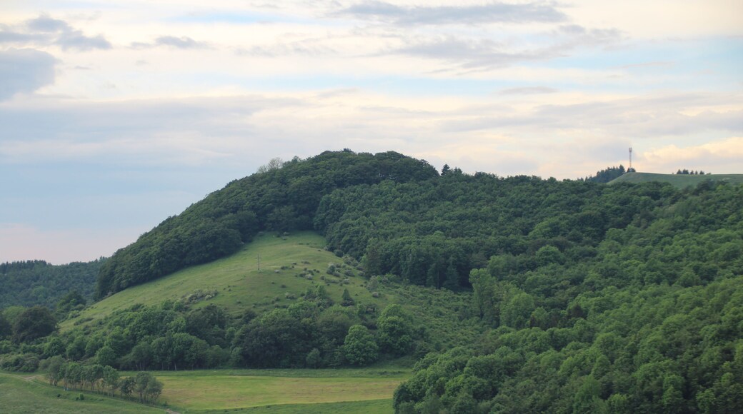 Blick vom Gebiet südlich von Abtsroda nordnordwestwärts zur Weiherkuppe. Rechts mit dem Funkmast der Weiherberg