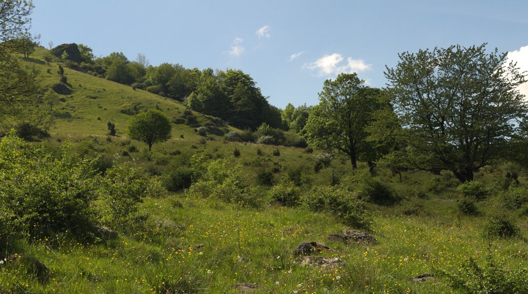 This is a picture of the protected area listed at WDPA under the ID