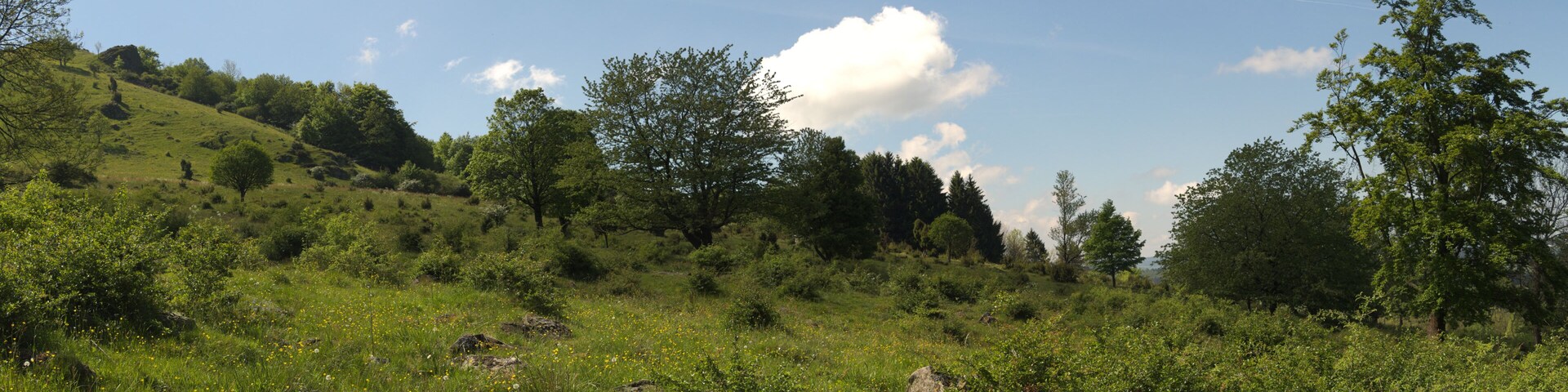 This is a picture of the protected area listed at WDPA under the ID