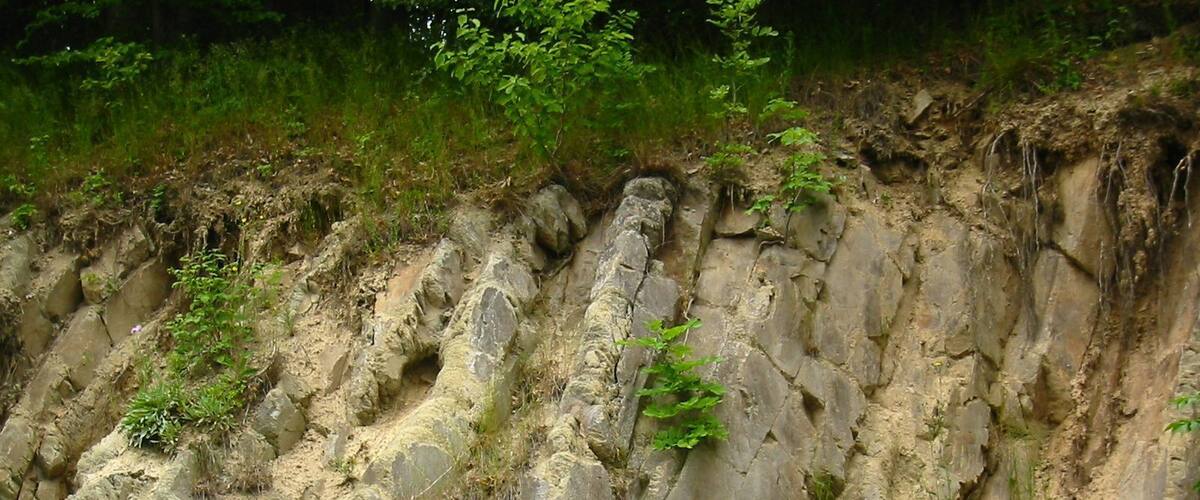 A rocky cliff with vegetation growing on it.