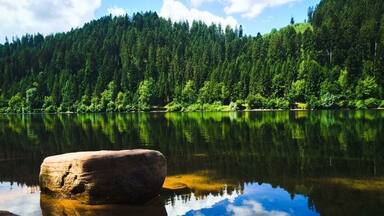 A lake at the Black Forest