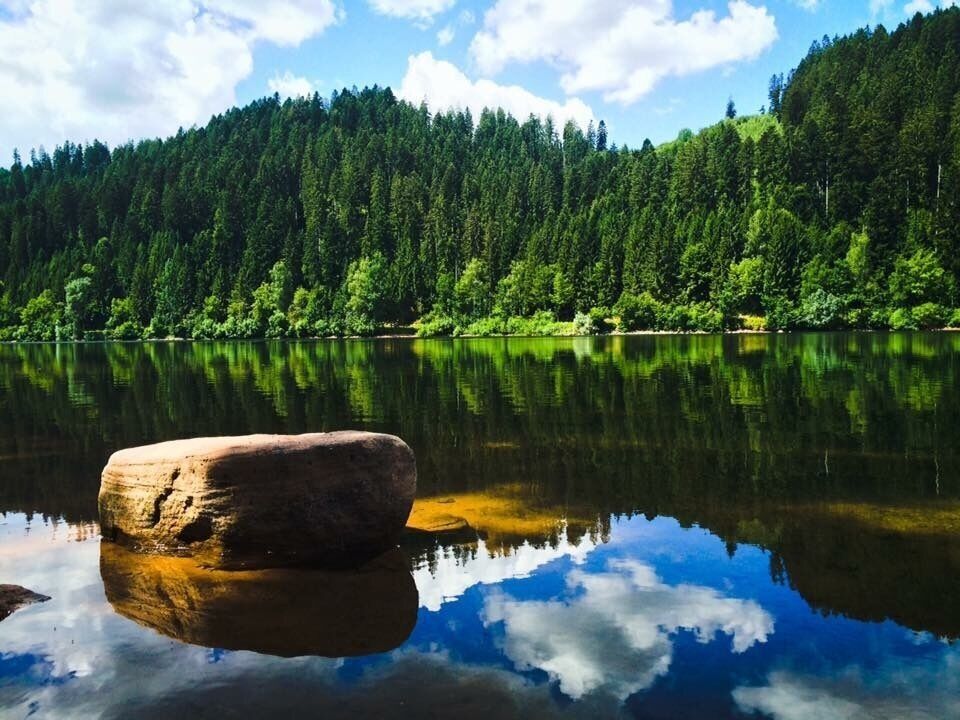 A calm lake with a large rock in the foreground and dense forest in the background.