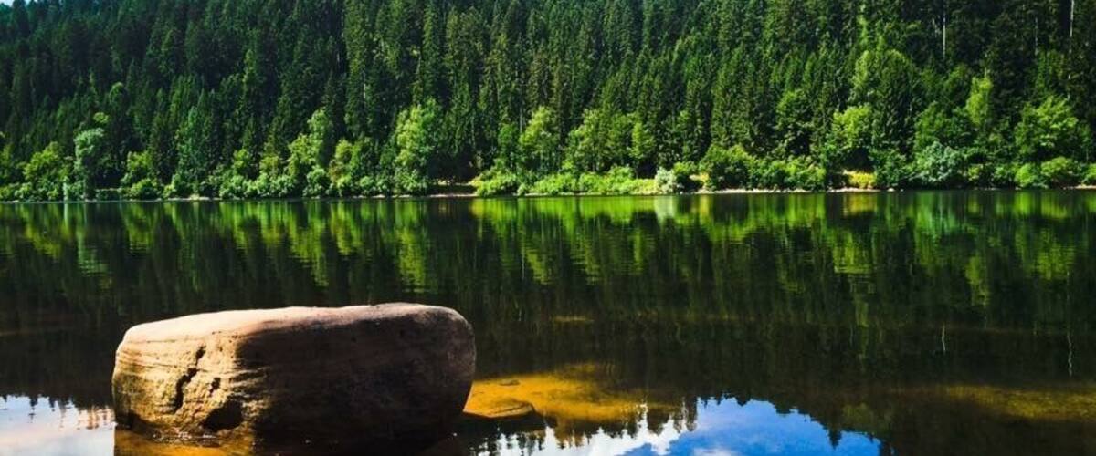 A calm lake with a large rock in the foreground and dense forest in the background.