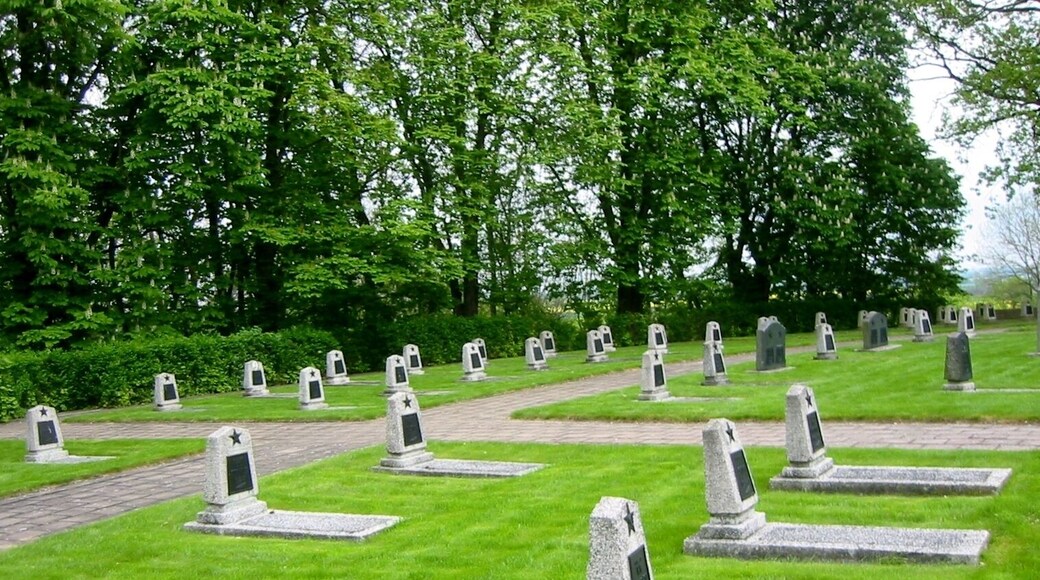 Ursprüngliches Gräberfeld mit den Gräbern 66 sowjetischer Soldaten, die bei der Schlacht ums Leben kamen. Die Gedenkstätte Seelower Höhen erinnert in der brandenburgischen Kreisstadt Seelow (Landkreis Märkisch-Oderland) an die Schlacht um die Seelower Höhen im Jahr 1945.