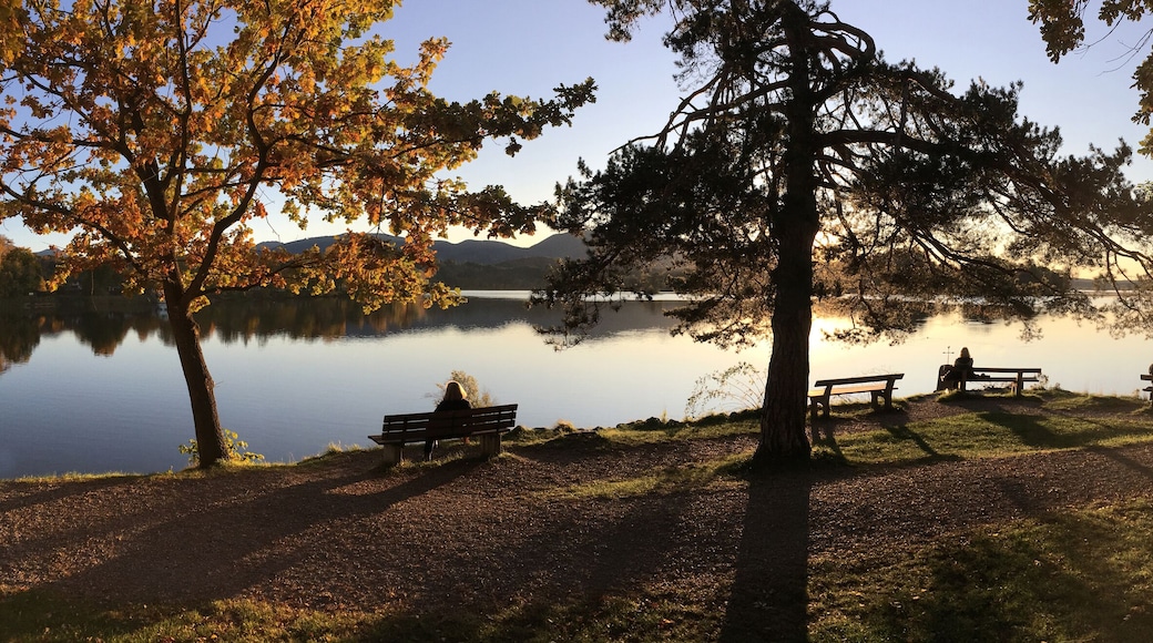 Staffelsee Lake shore , Bavaria, Germany in the fall