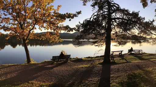 Seehausen am Staffelsee