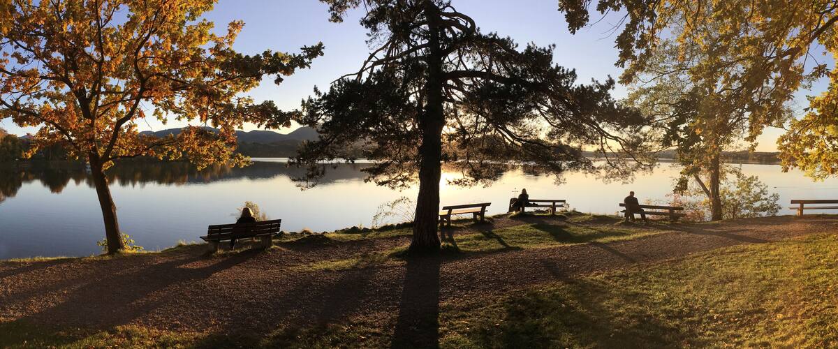 A lakeside park with benches and trees.