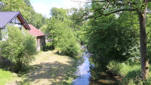 Seck, Westerwald: Holzbach beim Hof Dapperich