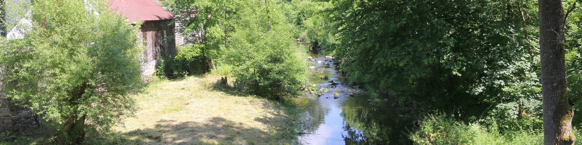 Seck, Westerwald: Holzbach beim Hof Dapperich