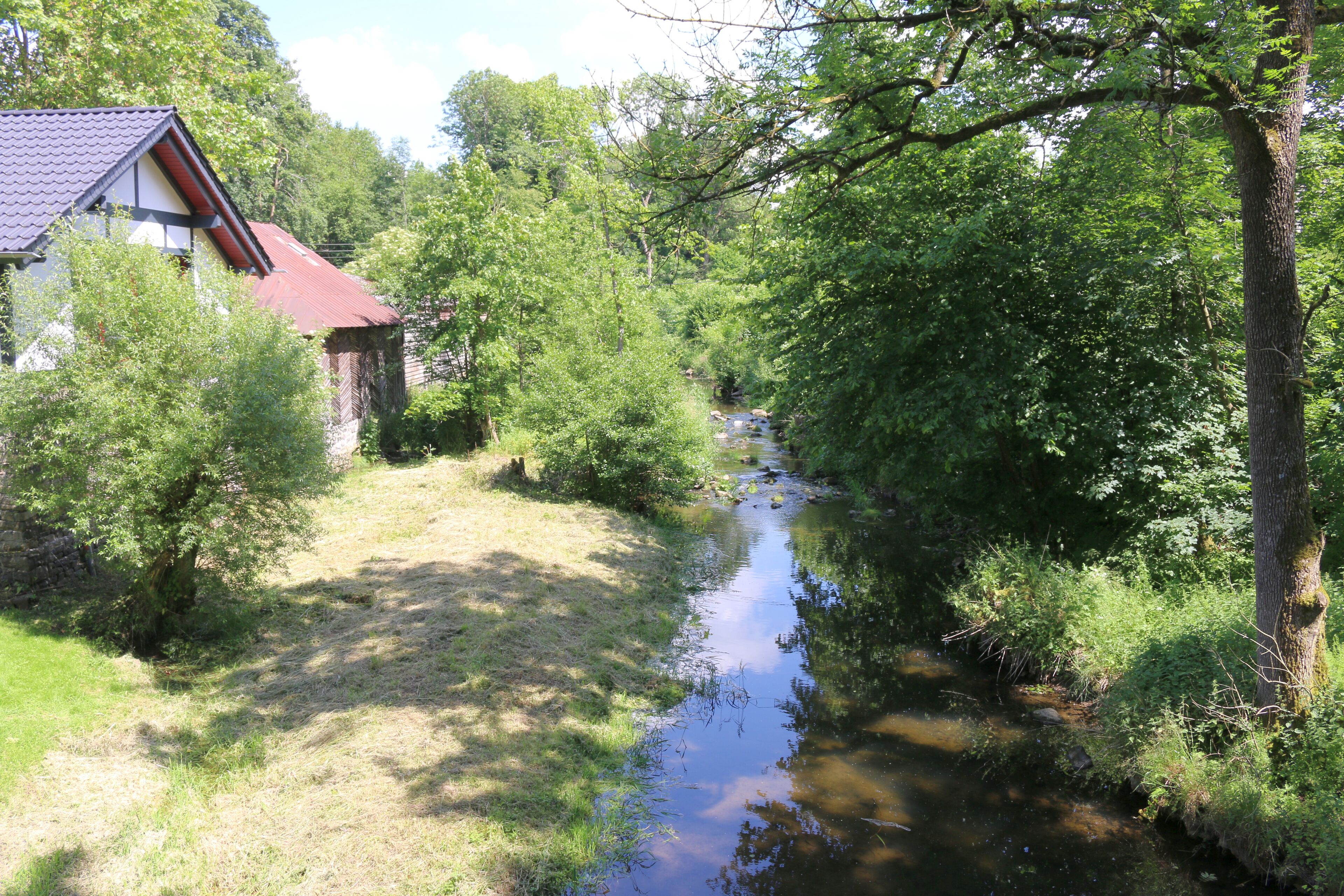 A narrow stream with a house on the left and dense greenery on both sides.